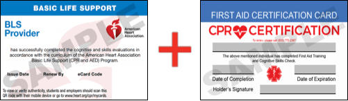 Sample American Heart Association AHA BLS CPR Card Certificaiton and First Aid Certification Card from CPR Certification Augusta