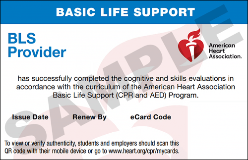 Sample American Heart Association AHA BLS CPR Card Certification from CPR Certification Augusta