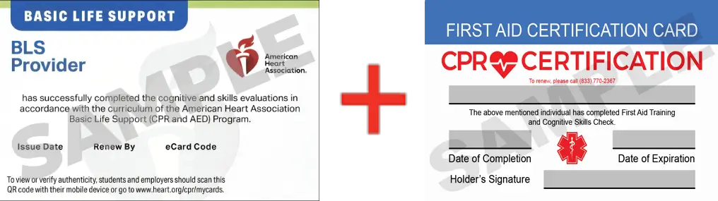 Sample American Heart Association AHA BLS CPR Card Certification and First Aid Certification Card from CPR Certification Augusta